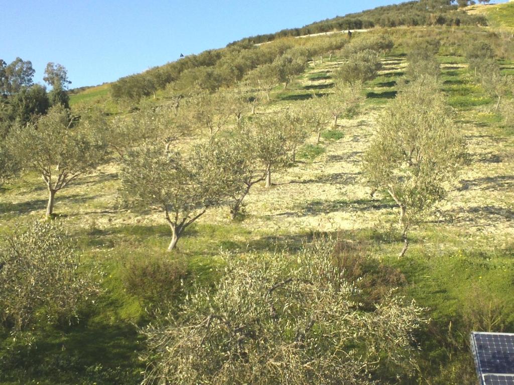 Agriturismo Due Ganee Villa Agrigento Dış mekan fotoğraf